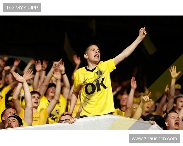 荷甲球迷狂热助威，主场氛围持续提升